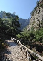 Near the entrance of the gorge of Agia Irini